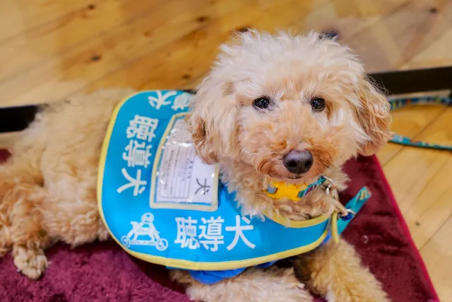 生き方・働き方見本市〜おとなの文化祭〜